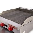 ASADOR A GAS 2 QUEMADORES TORREY ASA-600