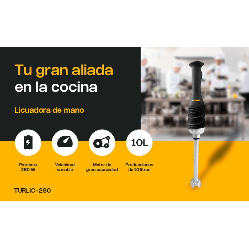 Batidora De Inmersión Industrial Rhino Turlic-280 A. Inox Negro/acero Inoxidable