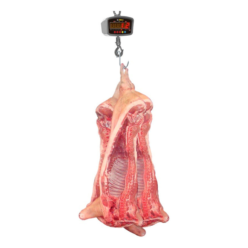 Báscula Industrial Digital Colgante Rhino Bac-1t 1 Tonelada Gris