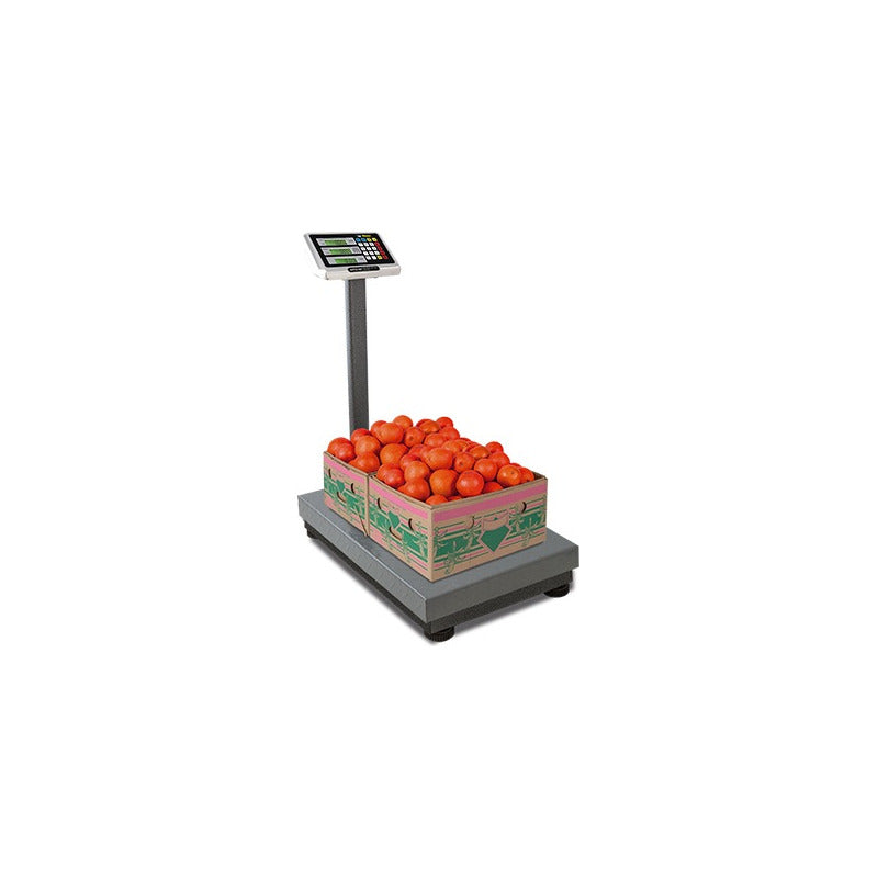 Báscula Comercial Digital Rhino Bapca 500kg Con Mástil  Gris Oscuro