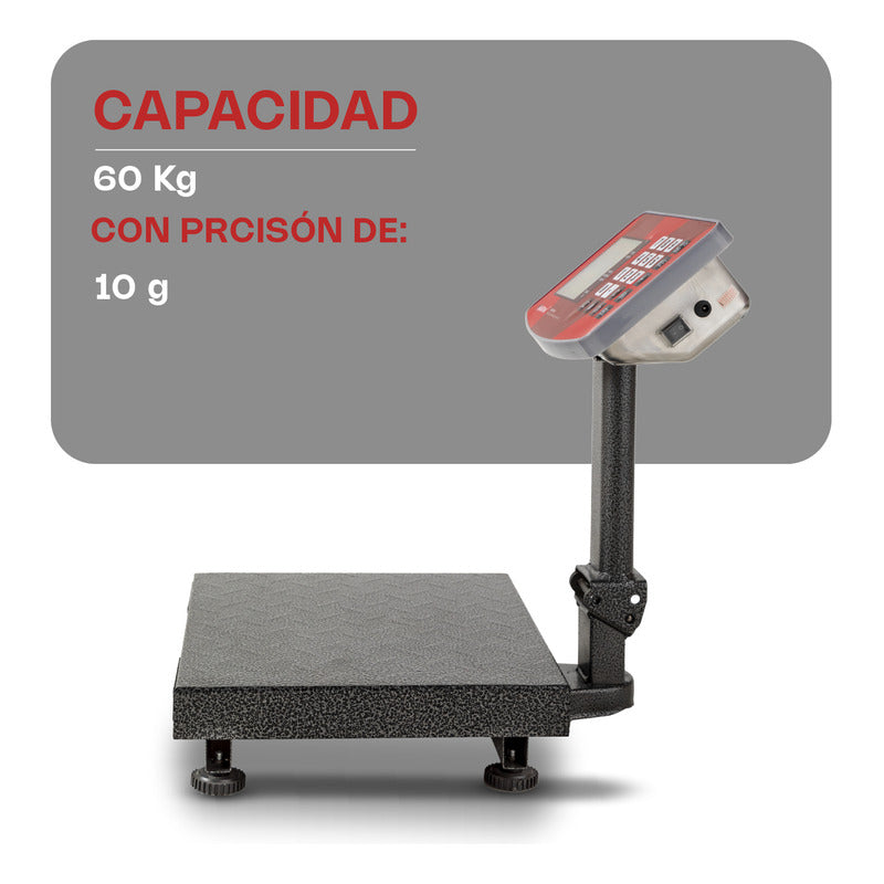 Báscula De Plataforma Plegable 60 Kg Vinson Baple-60 Gris Oscuro