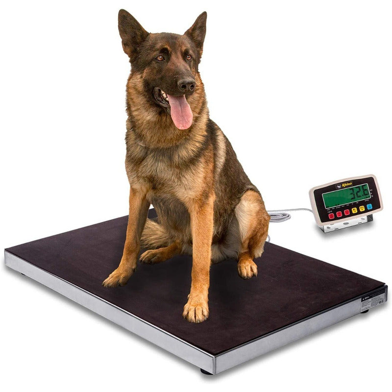 Báscula Comercial Digital Rhino 90 X 60 Cm Bavet-200 Kg