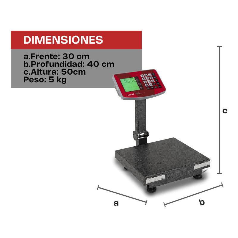 Báscula De Plataforma Plegable 60 Kg Vinson Baple-60 Gris Oscuro