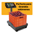 Báscula Comercial Digital Plataforma Rhino Bapca 80kg Gris