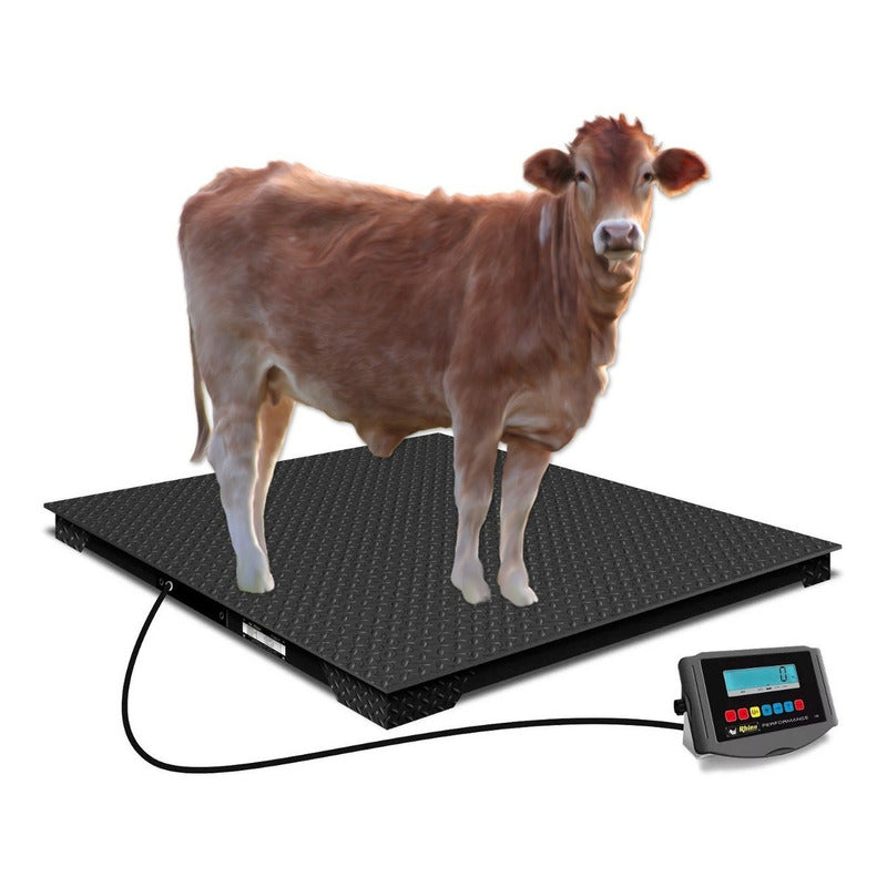 Báscula De Plataforma Plaba-12 De 3000 Kg 120 X 120 Cm