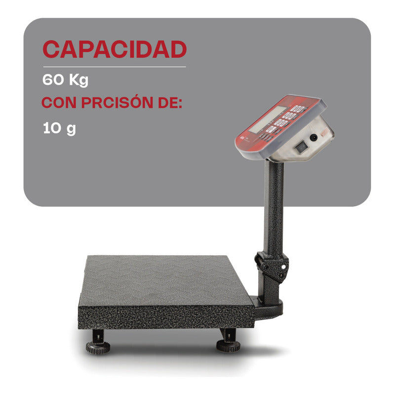 Báscula De Plataforma Plegable 60 Kg Vinson Baple-60 Color Gris Oscuro