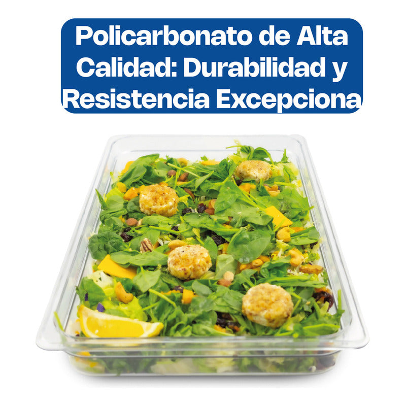 Inserto De Policarbonato Caledonia Inpoe-2.5 Transparente 10cm X 53.5cm X 33cm