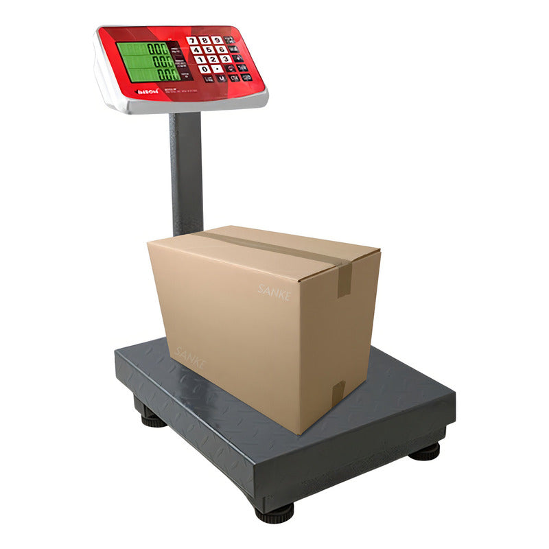 Báscula De Plataforma Plegable 60 Kg Vinson Baple-60 Color Gris Oscuro