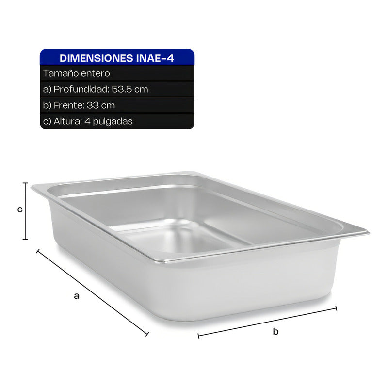 Contenedor Inserto Acero Inoxidable Entero 4