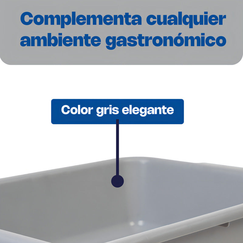 Caledonia Chale-5 Charola Levantamuertos Polipropileno Chale 5 Color Gris