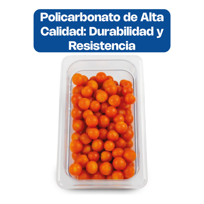 Inserto Cuarto Policarbonato 6  Caledonia Inpocu-6