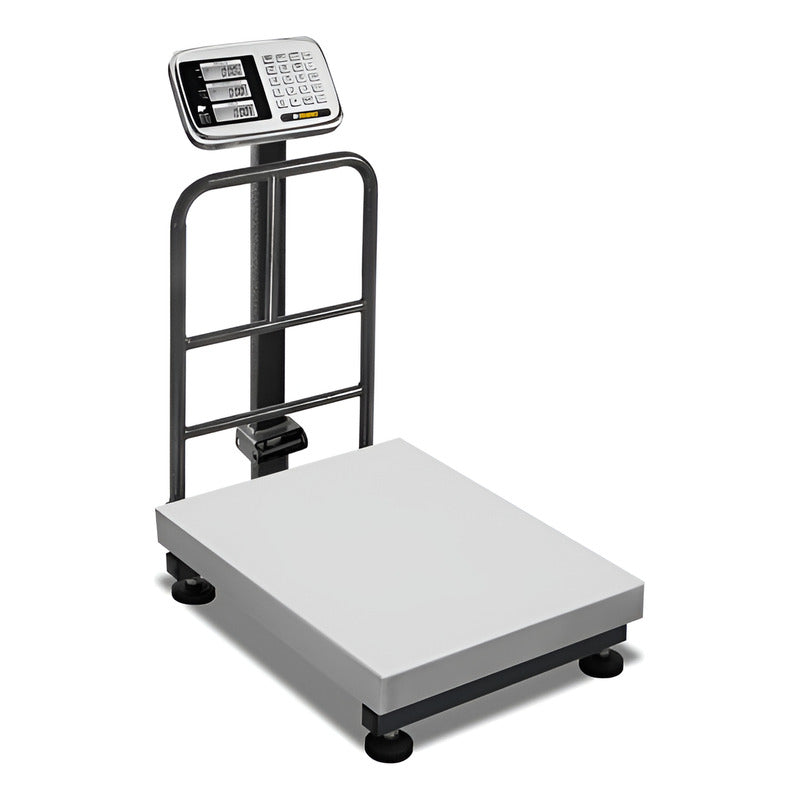 Báscula De Plataforma Inoxidable Plegable Bp-100 Kg Gris