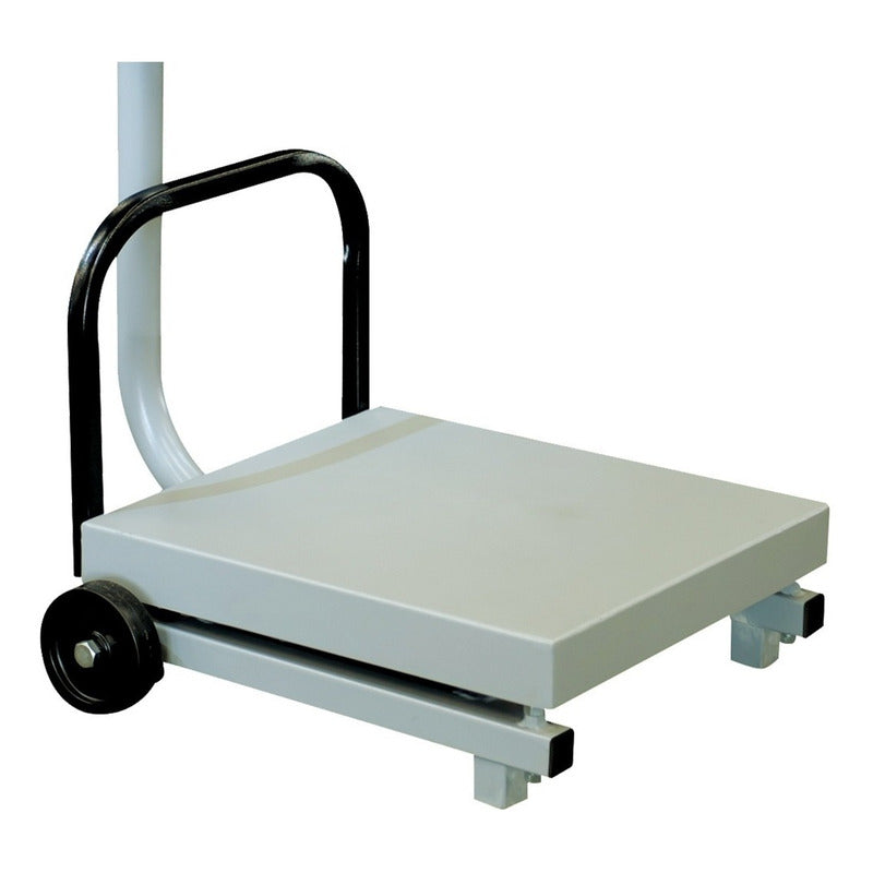 Bascula Comercial Digital Industrial Torrey 250kg Fs-250 Rbanda Con Plataforma Basculas Con Mástil Y Soporte 54 X48 Cm Conexión A Pc Tipo Usb Recargable Peso Máximo Soportado 250kg