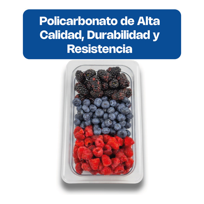 Inserto Tercio Policarbonato 4 Pul. Caledonia Inpote-4