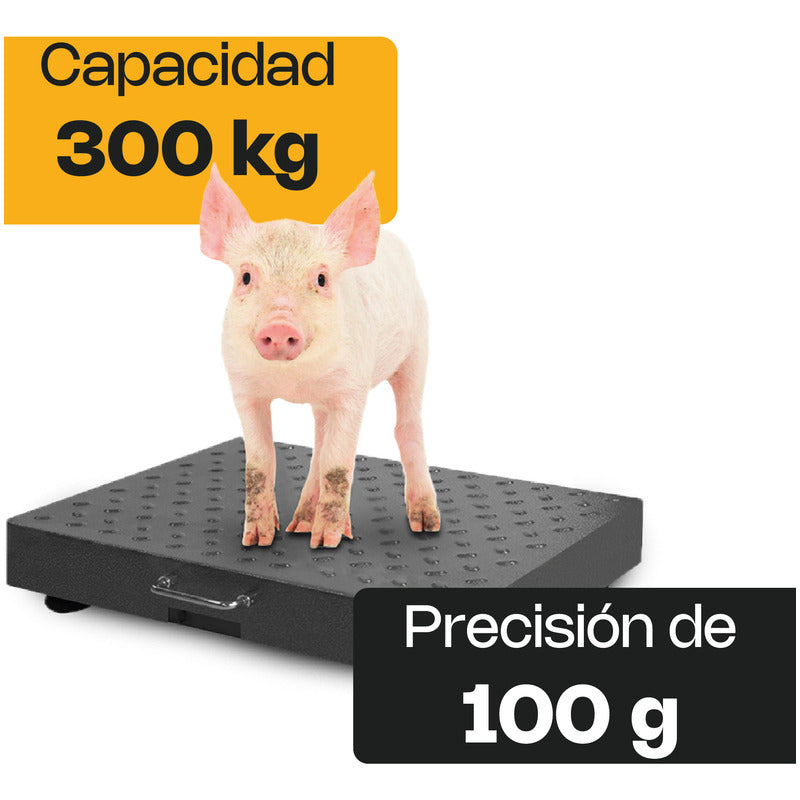 Bascula De Plataforma Inalambrica 300 Kg Rhino Bapic-300 Gris