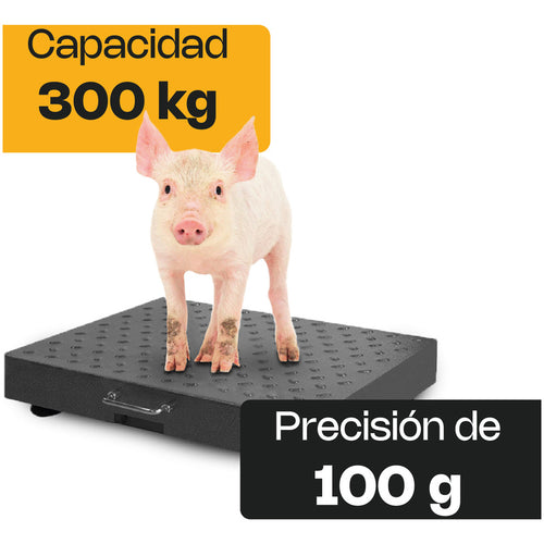 Bascula De Plataforma Inalambrica 300 Kg Rhino Bapic-300 Gris
