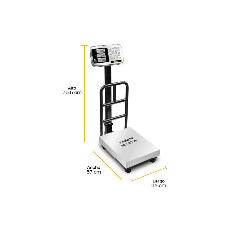 Báscula Digital Plataforma Bp 100kg Rhino Base A.inox Rb - Gris