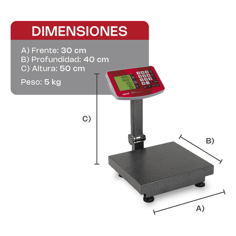 Báscula De Plataforma Plegable 60 Kg Vinson Baple-60 Color Gris Oscuro