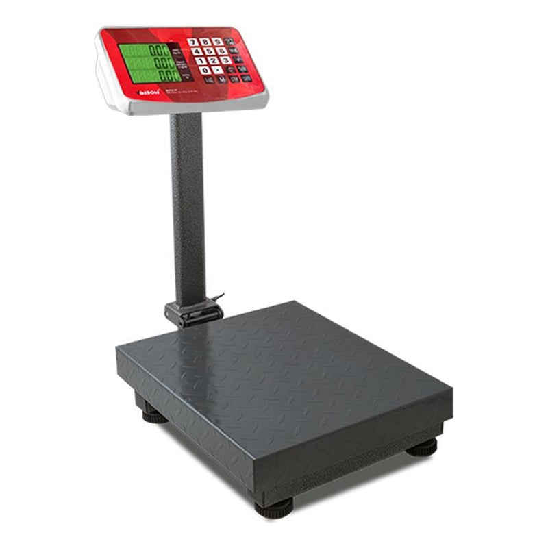 Báscula De Plataforma Plegable 60 Kg Vinson Baple-60 Color Gris Oscuro