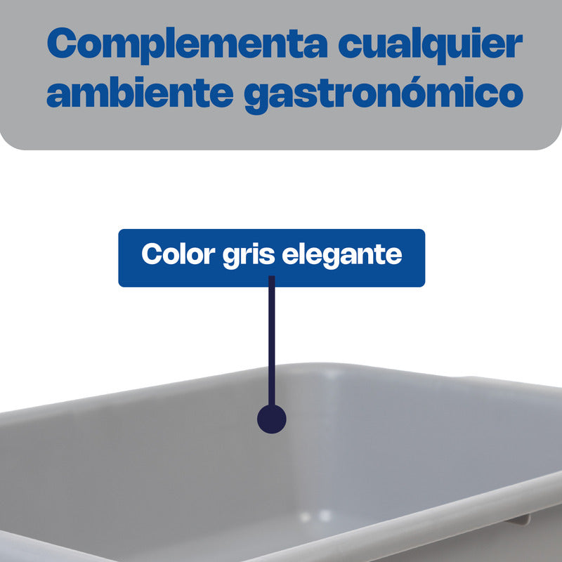 Charola De Servicio Polipropileno 50x35 Cm Chale-5 Caledonia Gris